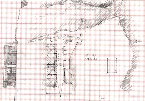 やまとなでしこ