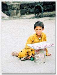 �A�t�K�j�X�^���̌���photo01