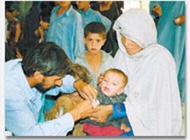 �A�t�K�j�X�^���̌���photo02