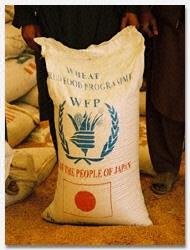 �A�t�K�j�X�^���̌���01