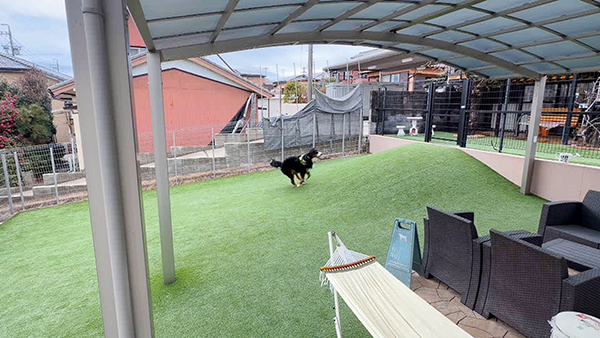 寿望(じゅの) きょうのわんこ 写真2