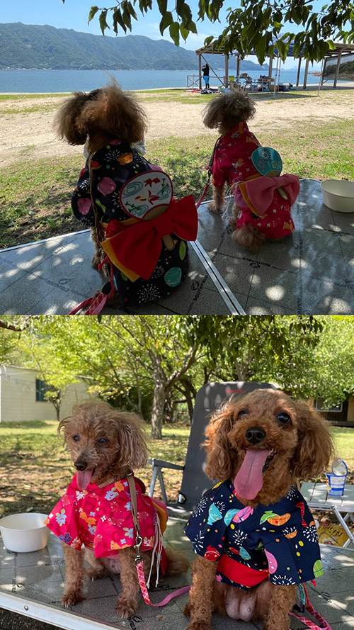 佐々木 彩乃 Ayano SASAKI