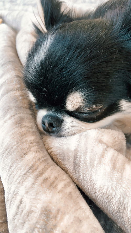 河辺 愛菜 Mana KAWABE