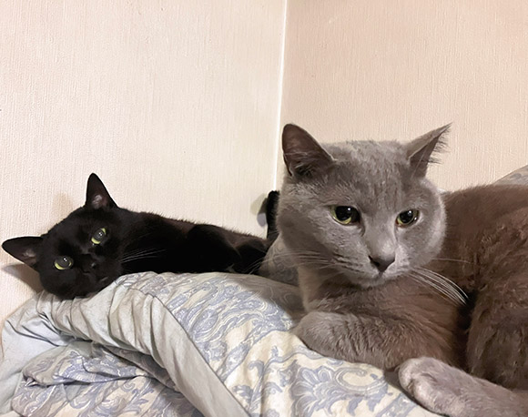 大庭 雅 Miyabi OBA