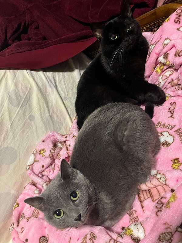 大庭 雅 Miyabi OBA