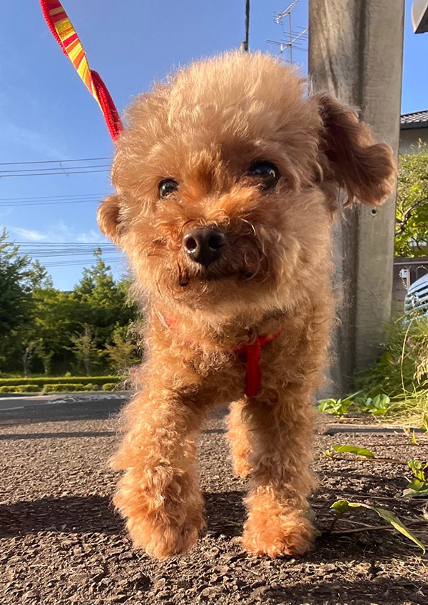 千葉 百音 Mone CHIBA