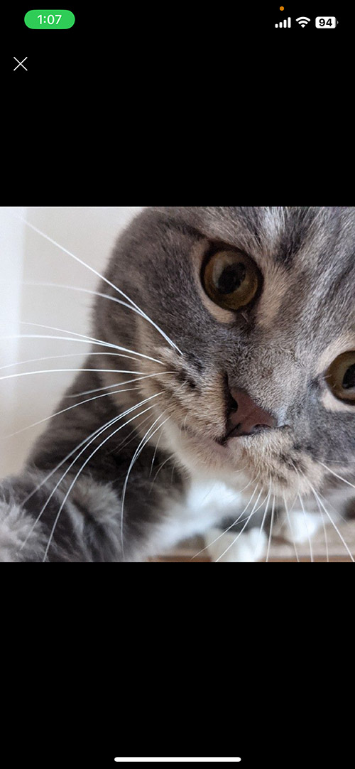 北村 凌大 Ryota KITAMURA