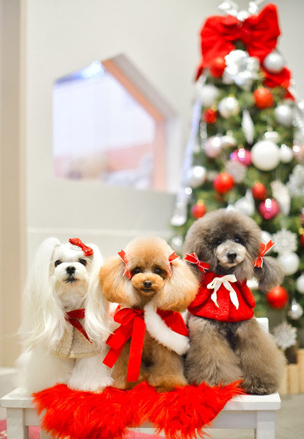 松岡 隼矢 Shunya MATSUOKA