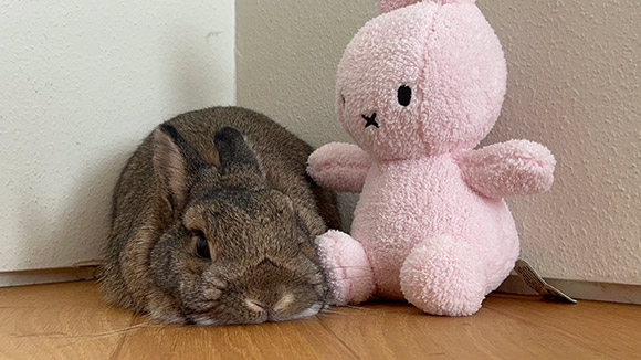 長岡 柚奈 Yuna NAGAOKA